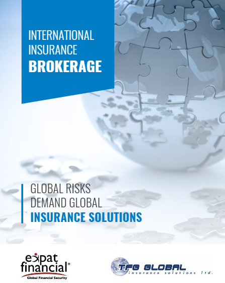 TFG-Global-Domestic-Group-Insurance-Brochure-Thumbnail